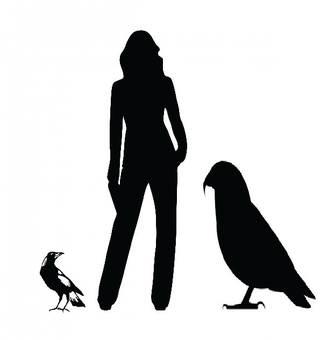 That’s a big parrot!